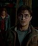 HP7B_TRL3_1080_002096.jpg